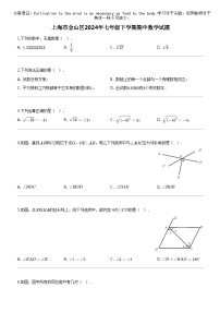 [数学]上海市金山区2024年七年级下数学期期中数学试题