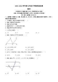辽宁省大连市庄河市2023-2024学年七年级下学期期末数学试题