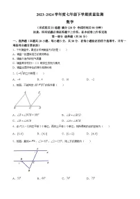 辽宁省大连市庄河市2023-2024学年七年级下学期期末数学试题