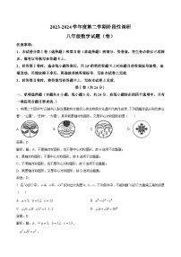 陕西省宝鸡市凤翔区2023-2024学年八年级下学期期中阶段性调研数学试卷(含解析)
