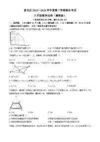 河北省张家口市宣化区2023-2024学年八年级下学期期末数学试题