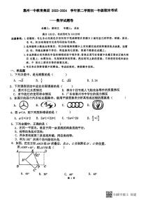 广东省惠州市第一中学教育集团2023-2024学年七年级下学期期末考试数学试题