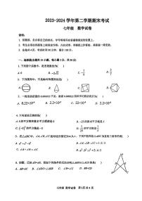 广东省深圳市罗湖区深圳中学初中部2023-2024学年七年级下学期期末考试数学试卷