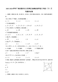 2023-2024学年广东省惠州市大亚湾区金澳实验学校八年级（下）月考数学试卷（含答案）