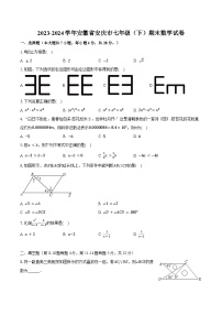 2023-2024学年安徽省安庆市七年级（下）期末数学试卷（含解析）