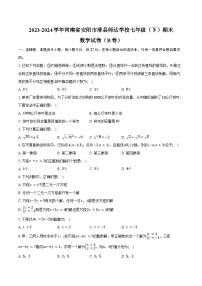 2023-2024学年河南省安阳市滑县师达学校七年级（下）期末数学试卷（B卷）（含答案）