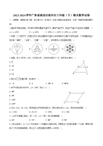 2023-2024学年广东省清远市连州市八年级（下）期末数学试卷（含解析）