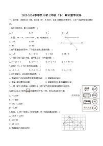 2023-2024学年贵州省七年级（下）期末数学试卷（含答案）