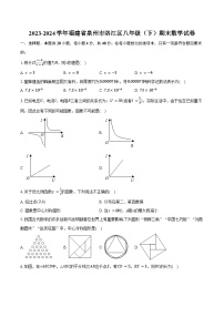 2023-2024学年福建省泉州市洛江区八年级（下）期末数学试卷（含答案）