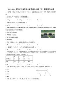 2023-2024学年辽宁省抚顺市新宾县八年级（下）期末数学试卷（含答案）