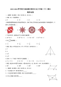 2023-2024学年四川省成都市青白江区八年级（下）期末数学试卷（含解析）