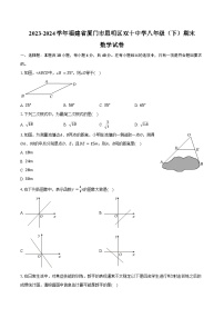 2023-2024学年福建省厦门市思明区双十中学八年级（下）期末数学试卷（含解析）