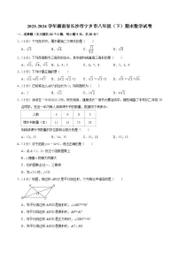 _湖南省长沙市宁乡市2023-2024学年八年级下学期期末数学试卷