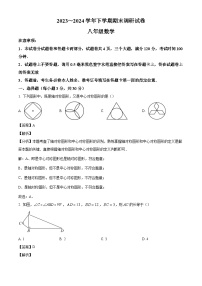 河南省平顶山市鲁山县2023-2024学年八年级下学期期末数学试题（解析版）
