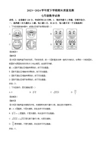 江西省宜春市高安市2023-2024学年七年级下学期期末数学试题（解析版）