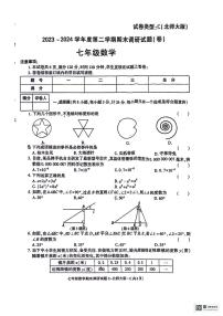 陕西省咸阳市乾县注泔镇部分学校2023-2024学年七年级下学期期末调研数学试题