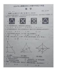 湖南省郴州市第三中学2023-2024学年八年级下学期+期中考试数学试卷