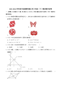四川省成都市温江区2023-2024学年八年级下学期期末数学试题