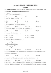 广东东莞2024年八年级下学期期末数学试题+答案