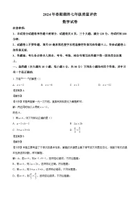 河南省南阳市淅川县2023-2024学年七年级下学期期末数学试题（解析版）
