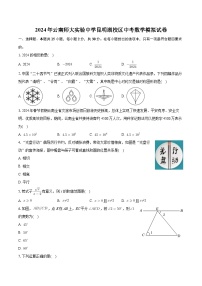 2024年云南师范大学实验中学昆明湖校区中考数学模拟学情检测试卷