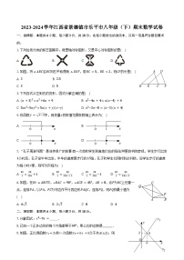 2023-2024学年江西省景德镇市乐平市八年级（下）期末数学试卷（含答案）