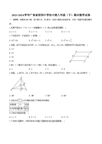 2023-2024学年广东省深圳中学初中部八年级（下）期末数学试卷（含答案）