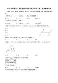 2023-2024学年广东省深圳中学初中部八年级（下）期末数学试卷（含答案）