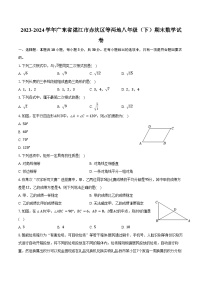 2023-2024学年广东省湛江市赤坎区等两地八年级（下）期末数学试卷（含答案）