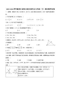 2023-2024学年黑龙江省哈尔滨市道外区七年级（下）期末数学试卷（含答案）