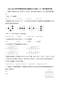 2023-2024学年河南省洛阳市偃师市七年级（下）期末数学试卷（含答案）