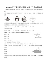 2023-2024学年广东省深圳市福田区七年级（下）期末数学试卷（含答案）