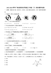 2023-2024学年广东省深圳市罗湖区八年级（下）期末数学试卷（含答案）
