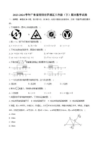 2023-2024学年广东省深圳市罗湖区八年级（下）期末数学试卷（含答案）