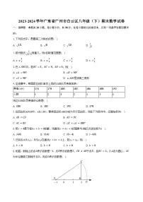 2023-2024学年广东省广州市白云区八年级（下）期末数学试卷（含答案）