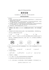 湖北省襄阳市枣阳市2024届九年级下学期中考适应性考试（二模）数学试卷(含答案)