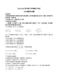 山东省泰安市肥城市（五四制）2023-2024学年七年级下学期期中考试数学试卷(含答案)