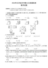 安徽省马鞍山市当涂县部分学校2024届九年级下学期中考三模数学试卷(含答案)