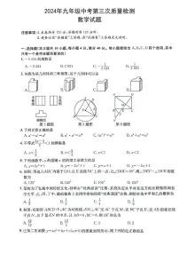 安徽省马鞍山市当涂县部分学校2024届九年级下学期中考三模数学试卷(含答案)