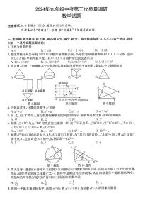 安徽省六安市霍山县多校联考2024届九年级下学期5月中考三模数学试卷(含答案)
