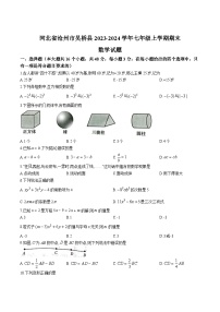 河北省沧州市吴桥县2023-2024学年七年级上学期期末教学质量评估数学试卷(含答案)