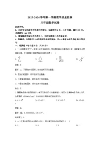 河南省安阳市殷都区2023-2024学年八年级上学期期末质量检测数学试卷(含解析)