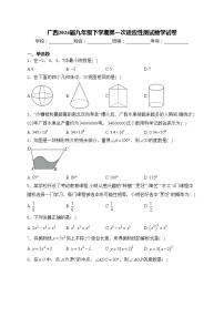 广西2024届九年级下学期第一次适应性测试数学试卷(含答案)