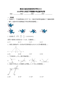 黑龙江省龙东地区部分学校2023-2024学年七年级下学期期中考试数学试卷(含答案)