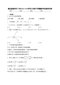 湖北省随州市广水市2023-2024学年七年级下学期期中考试数学试卷(含答案)