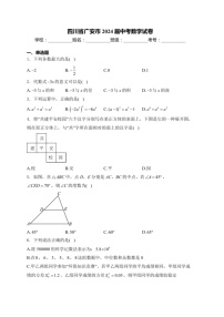 [数学]四川省广安市2024届中考真题数学试卷(有答案)