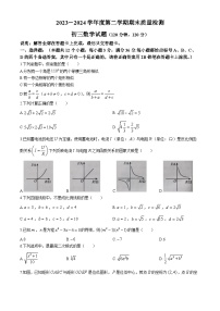 山东省烟台市牟平区（五四制）2023-2024学年八年级下学期期末考试数学试题