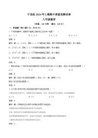 湖南省永州市宁远县2023-2024学年八年级下学期期中考试数学试卷(含解析)