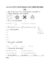 2022-2023学年辽宁省丹东市宽甸县八年级下学期期中数学试题及答案