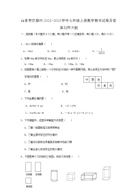 山东枣庄滕州2022-2023学年七年级上册数学期末试卷及答案北师大版